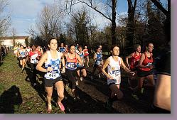 Begles 15.12.13 01 696 * 679 x 453 * (155KB)